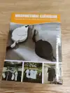 Outdoor multi-functional clothes drying rope, a magic tool for car self-driving, camping, hotel and travel clothes drying rope, clothes drying rope, drying basket rope Application Scenario